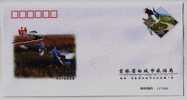 Red-crowned Crane Bird,China 2005 Baicheng City Tourism Bureau Advertising Postal Stationery Envelope - Kranichvögel