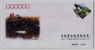 Red-crowned Crane Bird,China 2005 Baicheng City Tourism Bureau Advertising Postal Stationery Envelope - Kranichvögel