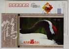 Red-crowned Crane Bird,China 2008 Wetland City Yancheng New Year Greeting Advertising Pre-stamped Card - Kranichvögel