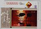 Red-crowned Crane Bird,China 2008 Wetland City Yancheng New Year Greeting Advertising Pre-stamped Card - Kranichvögel