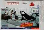 Giant Whale Angling,fishing,China 2009 Taixing Telecom Advertising Pre-stamped Card - Baleines