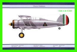 AVION - GLOSTER GLADIATOR Mk 1 - SERVICE/UNIT : IRAQI AIR FORCE - 1941 - ORIENTAL CITY PUBLISHING GROUP LIMITED ISSUED - 1939-1945: II Guerra