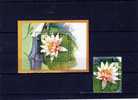 Naturschutz 1989 Seerosen Kampuchea 1039 Plus Block 166 O 2€ Nymphaea Capensis Rosa Flower Bloc Roses  Sheet Of Cambodge - Roses