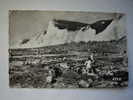 Berneval .La Plage Et Les Falaises  . C.p.photo 14x9 - Berneval