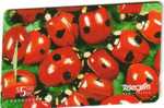 NEW ZEALAND $5  CHRISTMAS 1995  LADYBIRDS INSECTS  MINT GPT  NZ-P-63 READ DESCRIPTION !! - Neuseeland