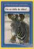 - 5039  "  T'es Un Drole De Zébre " - Affectueuses Penséés,  Edition Norman LE GOUBEY, CAEN, Trés Bon état, Voir Scan. - Humour