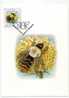 CARTE MAXIMUM LIETUVA ABEILLE - Honeybees