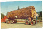 US-169 : Giant Fir Log On A Truck - Camión & Camioneta