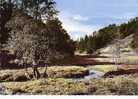 CPM.    ENVIRON D'HOUFFALIZE.   L'Ourthe En Amont. (Vallée De Bistain).     1966. - Houffalize