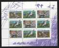 Russia 1992, Mi 254-256, Ducks - Birds, Mini Sheet - MNH ** - Hojas Completas