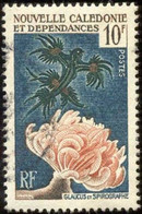 Pays : 355,1 (Nouvelle-Calédonie : Territoire D'Outremer)  Yvert Et Tellier N° :   293 (o) - Used Stamps