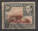 Kenya ; Uganda ; Tanganika ; 1949 ; N° Y/T : 76 ; Ob ; Georges VI ; Cote Y:  0.75  E. - Kenya, Ouganda & Tanganyika