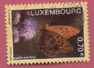 Timbre Oblitéré Used Stamp Argynnis Paphia LUXEMBOURG Postes 2005 0,70€ - Andere & Zonder Classificatie