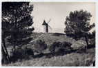 Ref 149 - FONTVIEILLE - Le Moulin D'où Alphonse Daudet à Daté Ses "lettres De Mon Moulin" (jolie CPSM) - Fontvieille