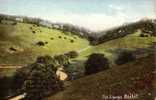 Boxhill - Surrey Angleterre UK - The Zigzags - Frith & Co. - Non Circulée - Surrey