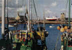 Carte Postale 29. Camaret  Flottille De Pêche à Quai Trés Beau Plan - Camaret-sur-Mer