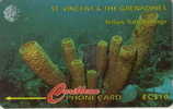 # SAINT_VINCENT_GRENADINES 3 Yellow Tube Sponge EC$10    Tres Bon Etat - San Vicente Y Las Granadinas