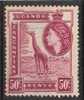Kenya ,Uganda, Tanganyika ; 1954 N° Y/T: 94  ;neuf Charnière ; Elizabeth II ; Cote Y: 1.50 E. - Kenya, Uganda & Tanganyika
