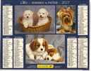 CALENDRIER DES POSTES.   ALMANACH DU FACTEUR  2007 / VOSGES.  CHIENS  /  CHIOTS. - Big : 2001-...