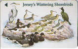 Jersey, 46 JER M,  £2,  Jersey’s Wintering Shorebirds (definitive 3) - Jersey E Guernsey