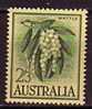 PGL - AUSTRALIA Yv N°258 * - Neufs