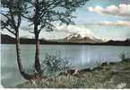 Lac De LAFFREY Isère Lac De Petitchet Et L'Obiou 1958 - Laffrey