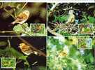 1989 WWF Cook Islands Birds Of The Cook Islands MC - Maximum Cards