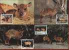 1985 WWF COTE D'IVOIRE ZEBRA DUIKER MC - Cartes-maximum