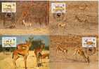 1993 WWF BURKINA FASO RED-FRONTED GAZELLE MC - Cartes-maximum