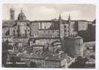 396 - Urbino Anni '60 - FG - NV - Urbino