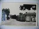 MIRANDE :  Avenue CHANZY  -  Carte Semi-moderne - Mirande