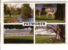 GOOD GB POSTCARD - PETWORTH - Other & Unclassified