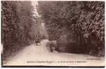 Carte Postale Ancienne Avernes - La Route De Guiry à Gadancourt - Avernes