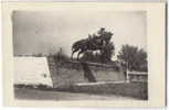 MILITARY Bulgaria CAVALLERY OFFICER Al. Boyadjiev & HORSE Photo 1932 / 061182 - Horse Show