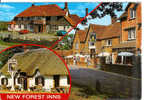 NEW FOREST INNS - Sir Walter Tyrell - Cat And Fiddle - Queen' Head, Burley - Autres & Non Classés