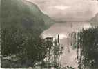 NANTUA Ain : Le Lac Barque - Nantua