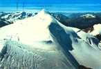 GRUPPO ORTLES - MONTE   CEVEDALE  ALPINISMO  NON VIAGGIATA COME DA FOTO PICCOLA SPELLATURA RETRO - Mountaineering, Alpinism