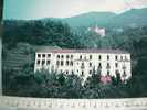 SUISSE SVIZZERA  Locarno Hotel Belvedere VB1974 Bollo Sci  St Moritz  BX27500 - Locarno