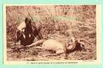 AFRIQUE  FRANCAISE - TCHAD - BAIBOKOUM - ANTILOPE TUEE - CHASSE - CHASSEUR - JEUNE HOMME NU - Chad