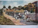 Porto Rico  Caguas Typical Scene Section Tuck No 7725 - Puerto Rico