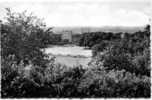 VORST- PARC-GRANDE PLAINE DE JEUX ET PANORAMA - Vorst - Forest