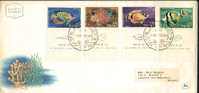 1962  Israel  FDC  Poissons Fish  Pesci  Coquillages Shell  Conchiglie - Coquillages