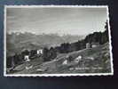 Mayens De Sion - Chalet Rion   - 1935 - Sion