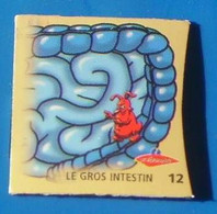 Magnets Le Gaulois Le Corps Humain N° 12 - Personnages