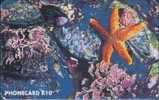 # SOUTH_AFRICA TNAX Intertidal Wealth -  Starfish 10 Gpt  Tres Bon Etat - Südafrika