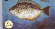 BAHRAIN Telecarte (40 BAHG )  Fish Of Bahrain - Baharain