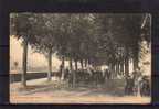 31 ST GAUDENS Promenade Des Tilleuls, Très Animée, Ed Labouche 211, 1905 - Saint Gaudens