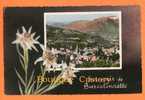 04 - BARCELONNETTE - Souvenir De .. Avec Des Edelweiss Et 1 Vue D'ensemble - Barcelonnette