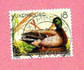 Timbre Oblitéré Used Stamp Canard Colvert  LUXEMBOURG 18 2000 - Gebraucht