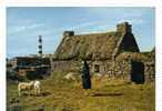 CPM De L Ile D Ouessant   Chaumière De Bretagne - Ouessant